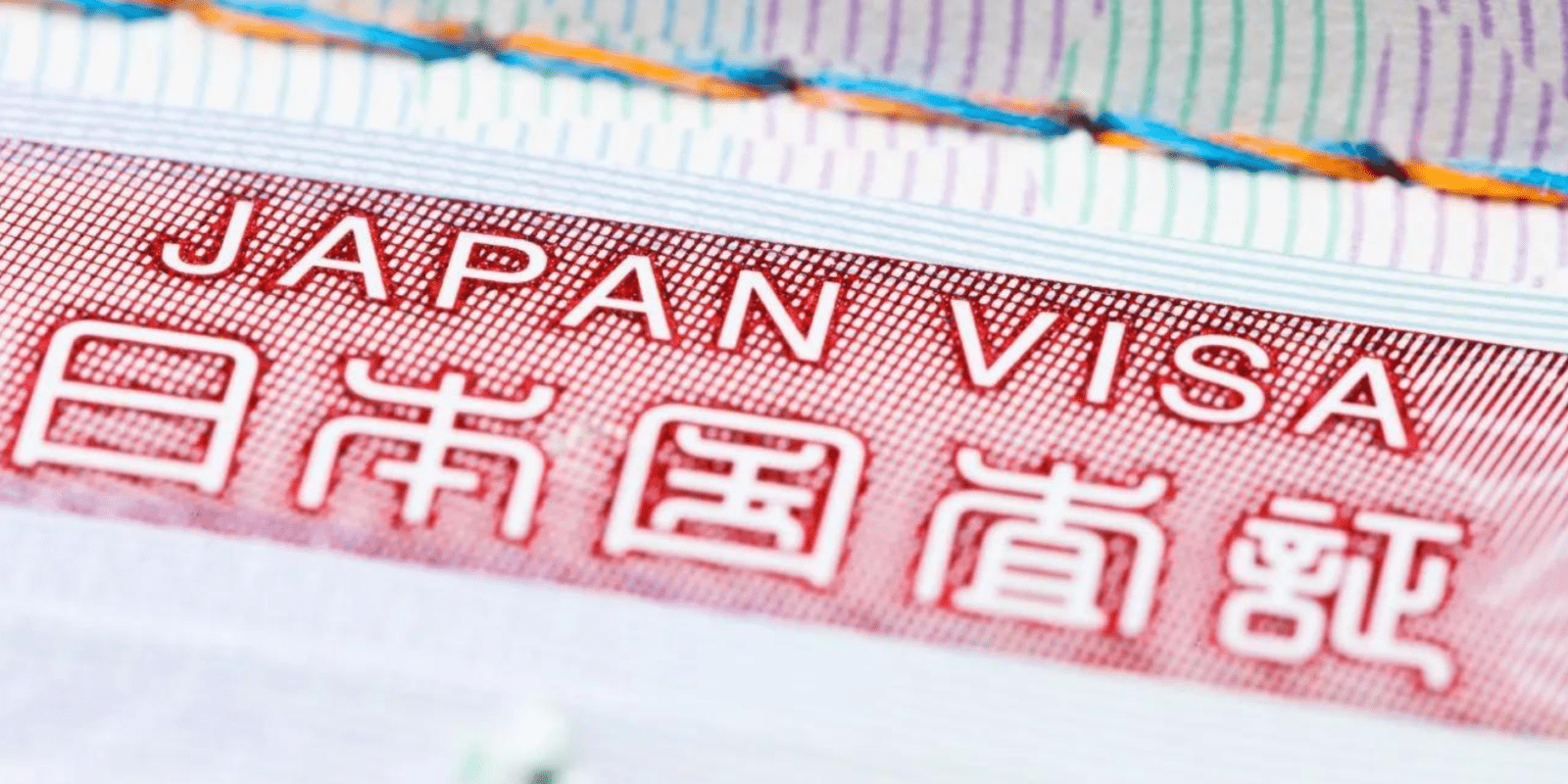 Language and Visa Support